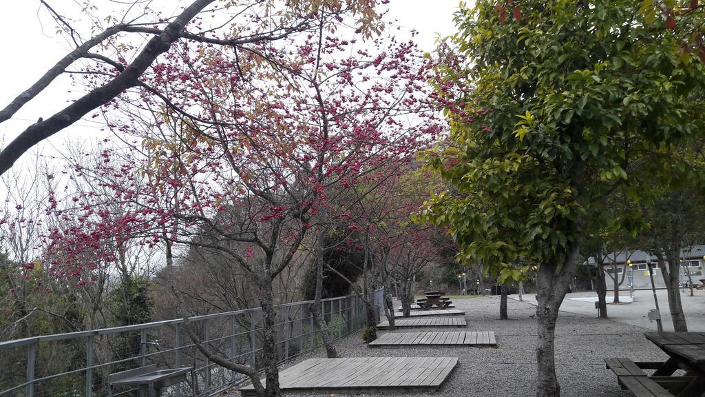 Qing Jing Xiao Taiyang Jingguan Homestay Ren'ai Exterior photo