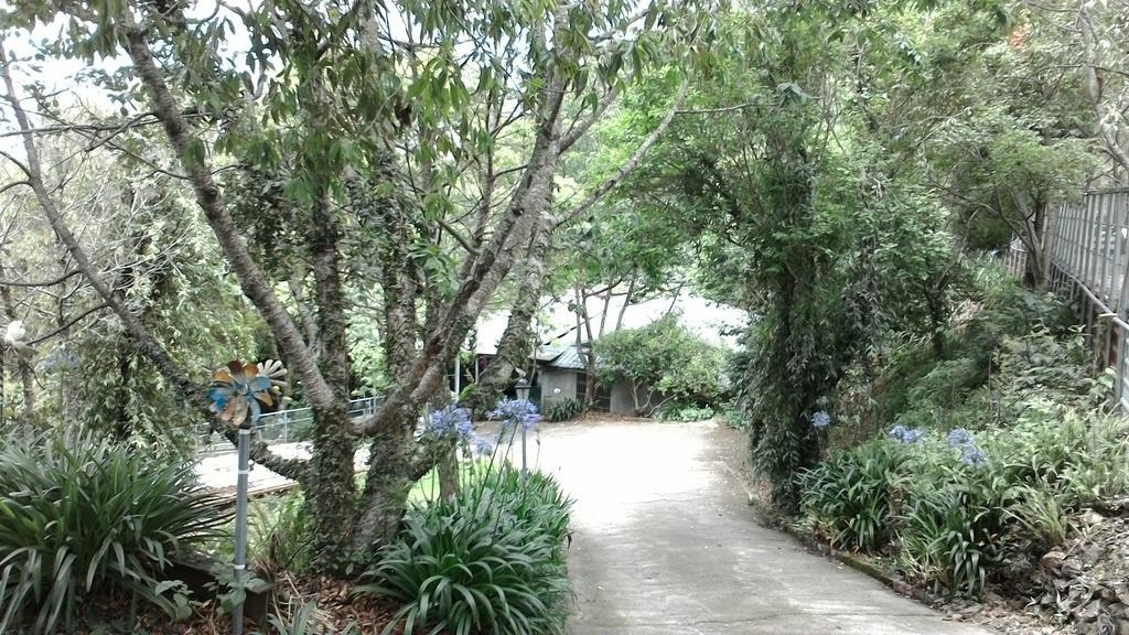 Qing Jing Xiao Taiyang Jingguan Homestay Ren'ai Exterior photo